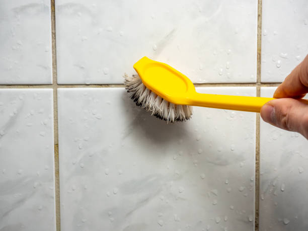 Attic Mold Removal in Drain, OR