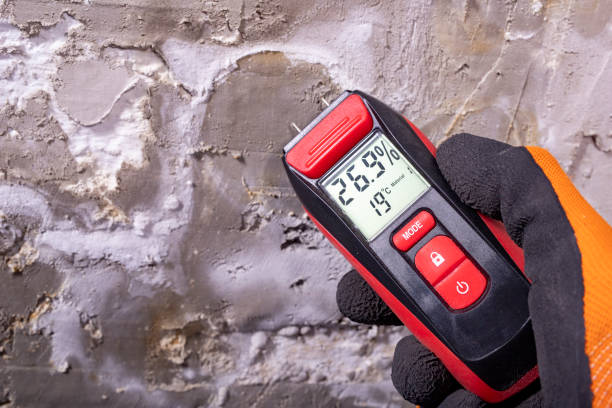Best Certified Mold Removal  in Drain, OR
