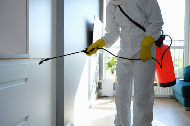 Best Office Mold Removal Services  in Drain, OR