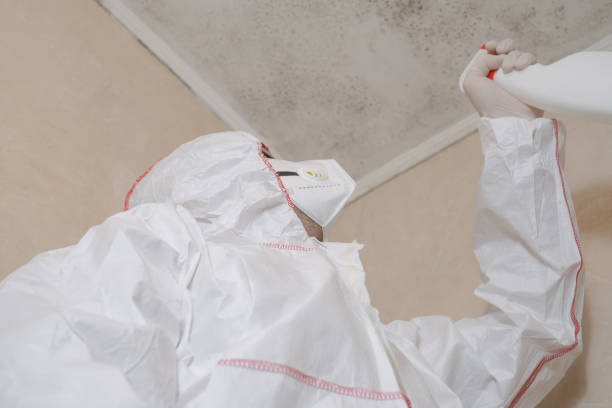 Best Mold Testing  in Drain, OR